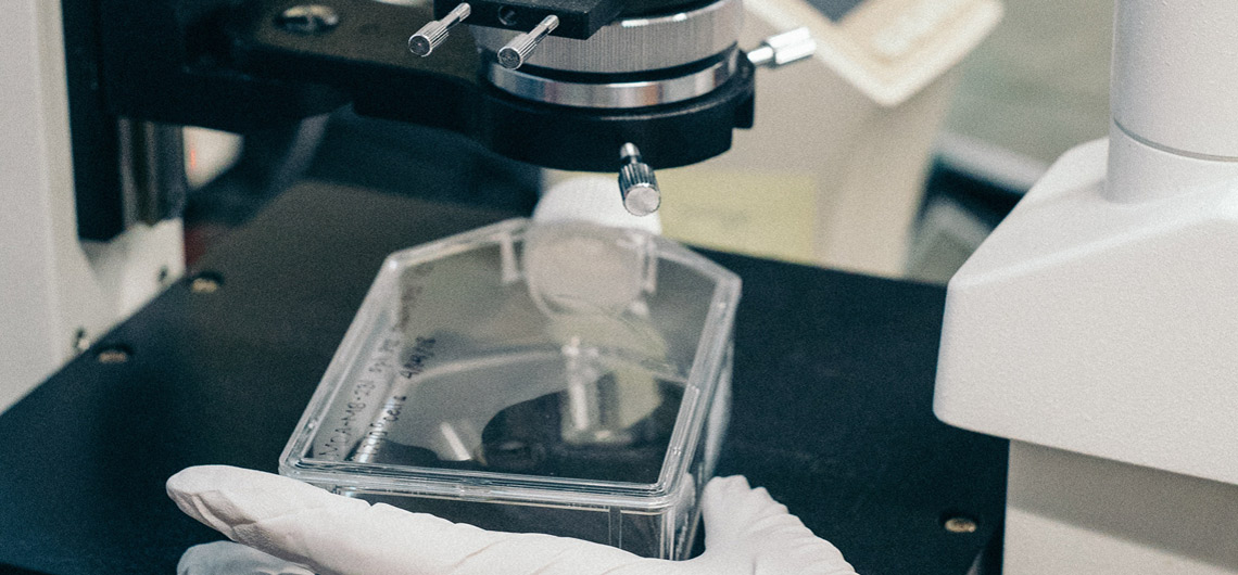 xrlabs